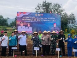 Pemkot Gandeng Lantamal IX Ambon Laksanakan Gerakan Tanam Cabai dan Kedelai Serempak