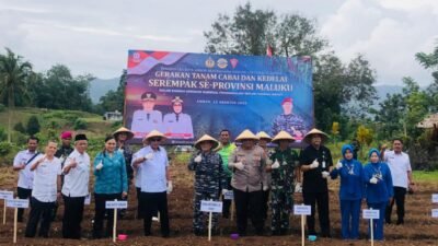 Pemkot Gandeng Lantamal IX Ambon Laksanakan  Gerakan Tanam Cabai dan Kedelai Serempak