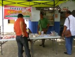 Mengenang Kelompok Pohon Mangga, Suara Kritis Dari Sudut Kiri Baileo Oikumene