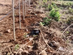 Diduga Gusur Lahan Warga Pakai Alat Berat, AT dan TM Dilaporkan ke Polisi