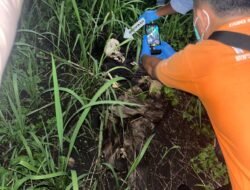 Temuan Kerangka Manusia Gegerkan Wowonda, Polisi Curigai Ada Jejak Kejahatan