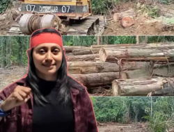 Membabi Buta Babat Hutan Pulau Buru, JAGAD Lapor PT NUSA PADMA Ke Menteri LHK.