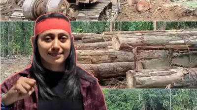 Membabi Buta Babat Hutan Pulau Buru, JAGAD Lapor PT NUSA PADMA Ke Menteri LHK.