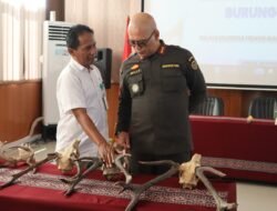 Karantina Maluku Serahkan Barang Bukti Satwa Dilindungi, Perkuat Penegakan Hukum Konservasi