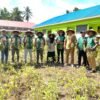 Panen Raya Kacang Tanah SMK Negeri 3 Morotai, Bukti Nyata Pendidikan Vokasi Berbasis Praktik