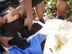 Tangisan dari Tumpukan Sampah Selamatkan Nyawa Bayi di Saumlaki, Polisi Buru Pelaku!