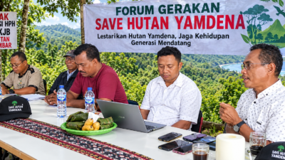 Forum Gerakan Save Hutan Yamdena Akan Gelar Aksi Demo Besok!